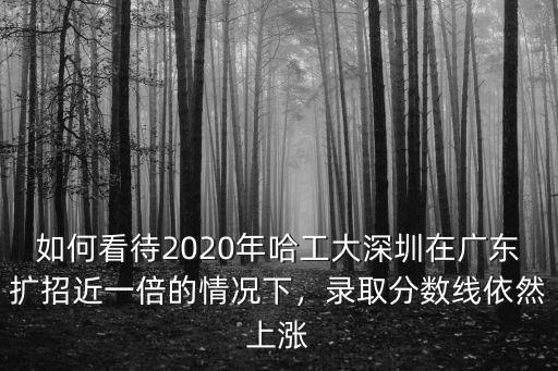 哈工大深圳就業情況怎么樣,北理工和哈工大