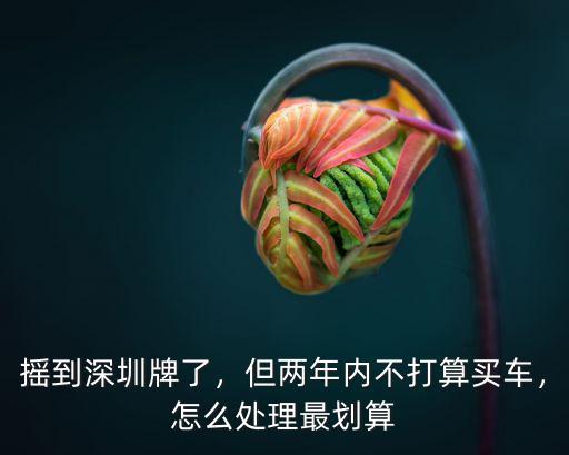 搖上深圳牌了要怎么上牌,搖到深圳牌了