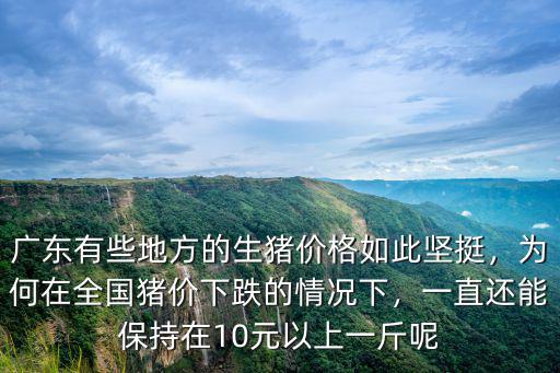廣東有些地方的生豬價(jià)格如此堅(jiān)挺，為何在全國(guó)豬價(jià)下跌的情況下，一直還能保持在10元以上一斤呢
