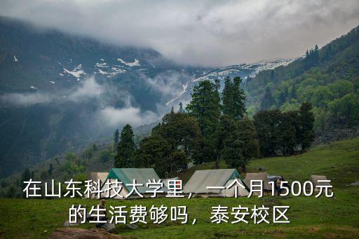 在山東科技大學里，一個月1500元的生活費夠嗎，泰安校區