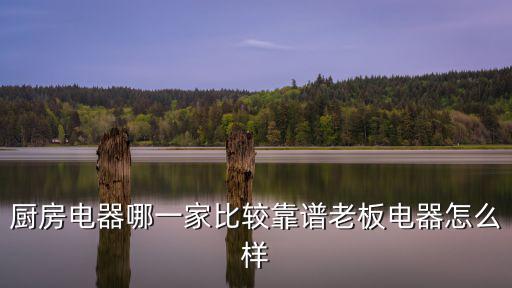 珠海市老板電器怎么樣,老板電器怎么樣