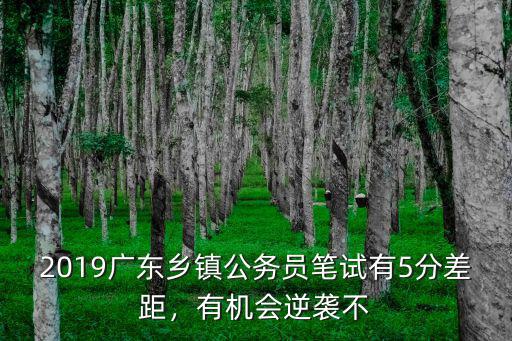 怎么樣備考廣東鄉鎮公務員,廣東鄉鎮公務員和廣東省考