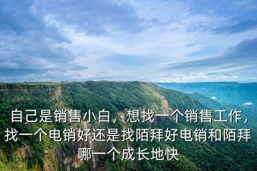 自己是銷售小白，想找一個銷售工作，找一個電銷好還是找陌拜好電銷和陌拜哪一個成長地快