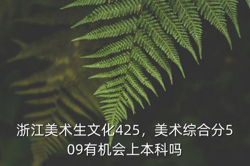 浙江美術生文化425，美術綜合分509有機會上本科嗎