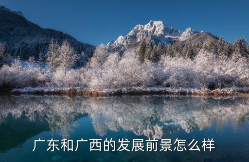 廣東的稅收收入是廣西的多少倍,廣東gtp是廣西的五倍