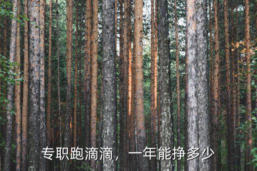 杭州開滴滴月入多少,一年能掙多少