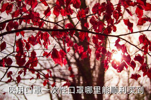 醫用口罩一次性口罩哪里能順利買到