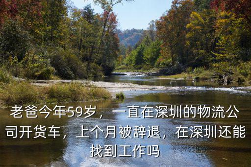 老爸今年59歲，一直在深圳的物流公司開貨車，上個月被辭退，在深圳還能找到工作嗎