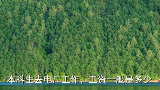 本科生去電廠工作，工資一般是多少