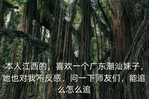 本人江西的，喜歡一個廣東潮汕妹子，她也對我不反感，問一下師友們，能追么怎么追