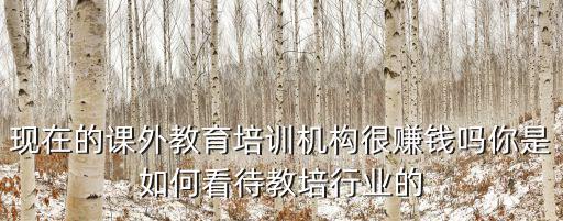 廣東湛江教育培訓行業怎么樣,現在做教育培訓行業怎么樣
