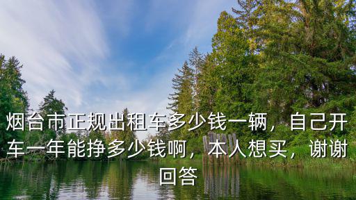 煙臺市正規出租車多少錢一輛，自己開車一年能掙多少錢啊，本人想買，謝謝回答