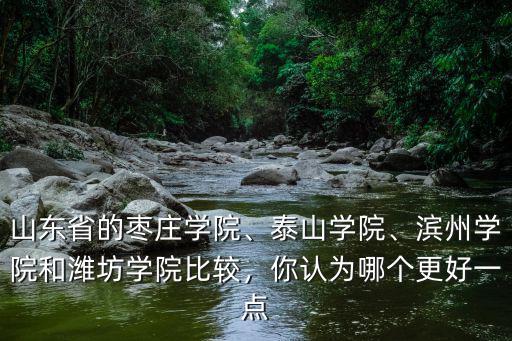 山東省的棗莊學院、泰山學院、濱州學院和濰坊學院比較，你認為哪個更好一點