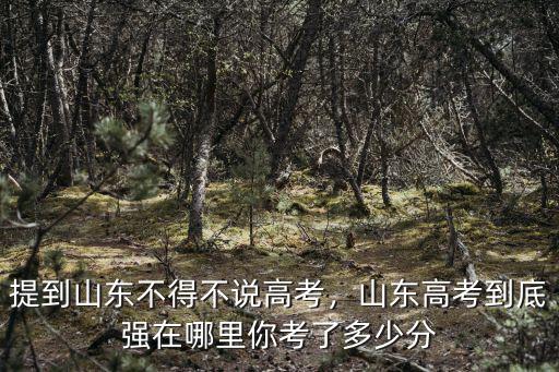 今年山東高考總分是多少分,提到山東不得不說高考