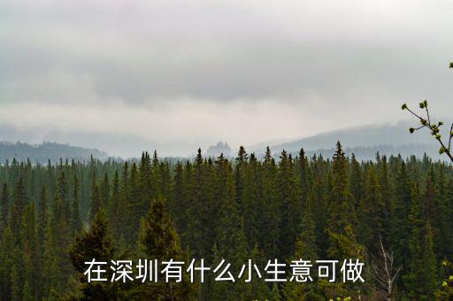 在深圳有什么小生意可做