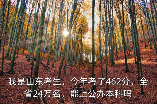 我是山東考生，今年考了462分，全省24萬(wàn)名，能上公辦本科嗎