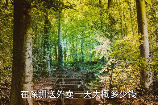 深圳專送一個單多少錢,在深圳送外賣一天大概多少錢