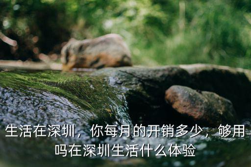 生活在深圳，你每月的開銷多少，夠用嗎在深圳生活什么體驗