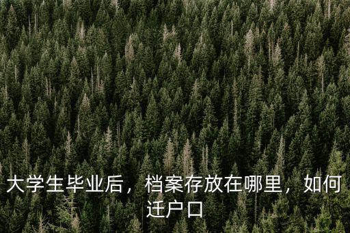 河源戶籍大學生檔案存檔在哪里,大學生畢業后