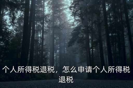 東莞個稅怎么退稅,個人所得稅退稅