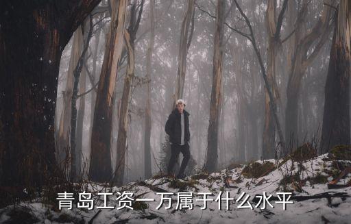 青島干什么工作多少工資知乎,青島這邊有什么比較好的工作