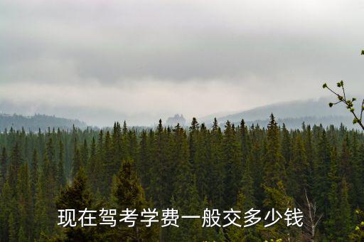 現在駕考學費一般交多少錢
