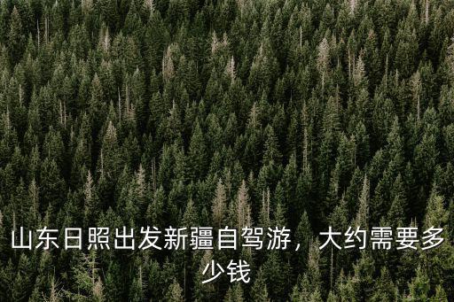 山東日照出發新疆自駕游，大約需要多少錢