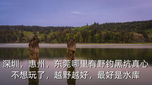 深圳，惠州，東莞哪里有野釣黑坑真心不想玩了，越野越好，最好是水庫
