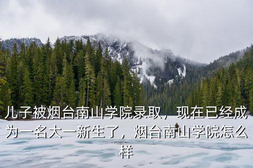 煙臺南山學院招一個人多少錢,煙臺南山學院怎么樣