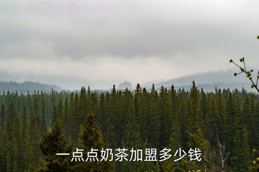 一點點奶茶加盟多少錢