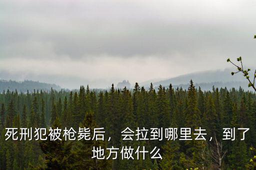 死刑犯被槍斃后，會拉到哪里去，到了地方做什么