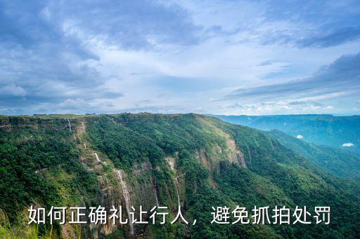 如何正確禮讓行人，避免抓拍處罰