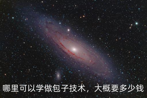 哪里可以學做包子技術，大概要多少錢