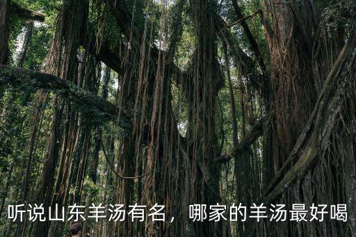 山東賣羊湯最多賣多少只羊,賣羊湯的利潤有多少