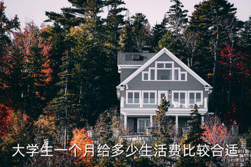 大學(xué)生一個月給多少生活費比較合適