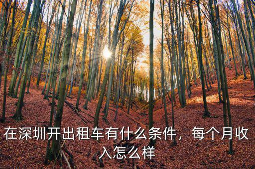 深圳哪里有出租車牌的公司,在深圳坐出租車