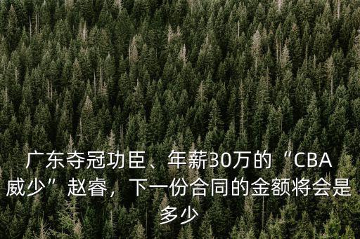 廣東奪冠功臣、年薪30萬的“CBA威少”趙睿，下一份合同的金額將會是多少