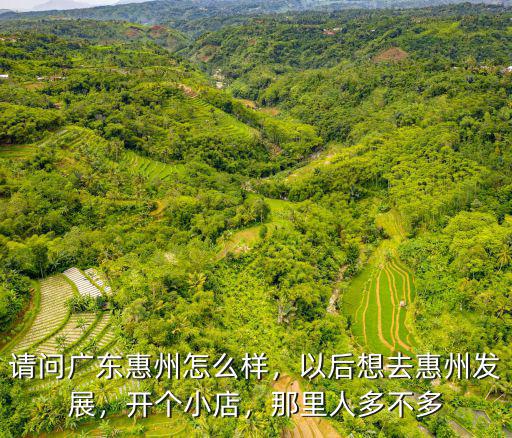 惠州惠城區哪里公園可以擺攤,惠州哪里擺地攤的多