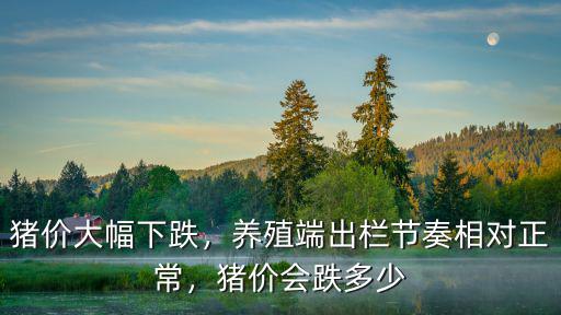 今日廣州豬肉價(jià)格多少,廣東豬肉現(xiàn)在多少錢(qián)一斤