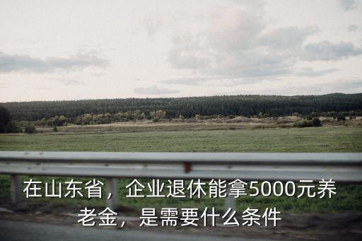 在山東省，企業退休能拿5000元養老金，是需要什么條件