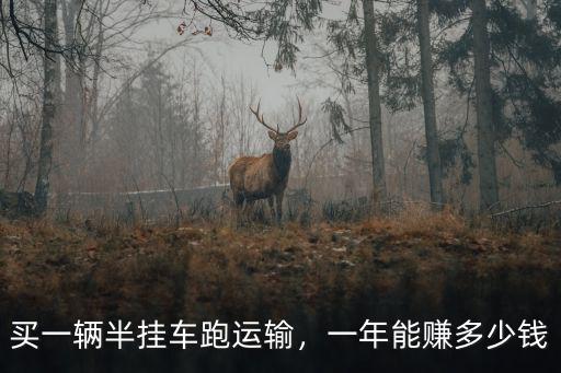 濰坊半掛車多少錢一輛,一年能賺多少錢