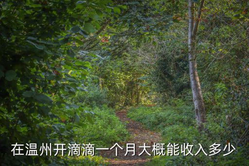 嘉興跑滴滴一月多少錢,新手一個月能賺多少錢