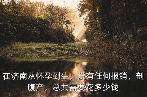 在濟南從懷孕到生，沒有任何報銷，剖腹產，總共需要花多少錢