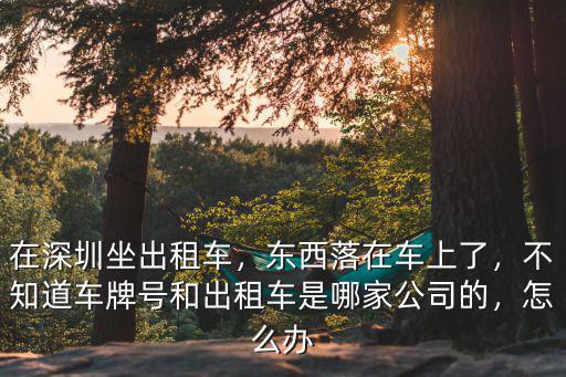 深圳車牌出租車怎么處理,在深圳坐出租車