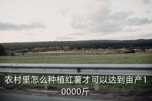 農村里怎么種植紅薯才可以達到畝產10000斤