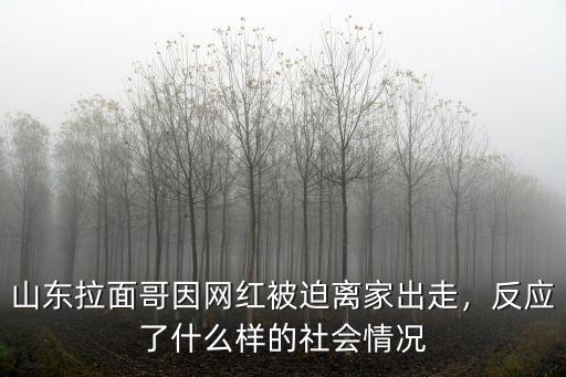 山東拉面哥因網(wǎng)紅被迫離家出走，反應了什么樣的社會情況