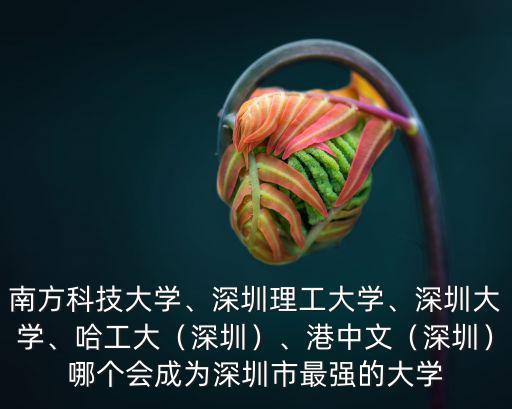南方科技大學、深圳理工大學、深圳大學、哈工大（深圳）、港中文（深圳）哪個會成為深圳市最強的大學