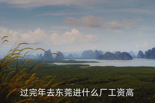 過完年去東莞進什么廠工資高