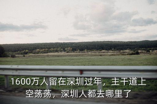 1600萬人留在深圳過年，主干道上空蕩蕩，深圳人都去哪里了