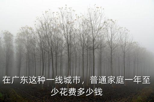 在廣東這種一線城市，普通家庭一年至少花費(fèi)多少錢